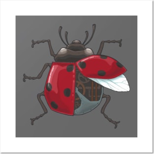 Lady Bug Posters and Art